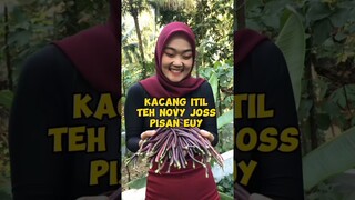 #shortvideo #kacangbawang #kacangpanjang #explore #sayuran