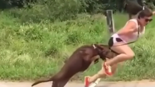 สังเคราะห์ 🤣 ช่วงเวลาหัวเราะที่ตกลงมาจากเก้าอี้ 8 วิดีโอบล็อกตลก