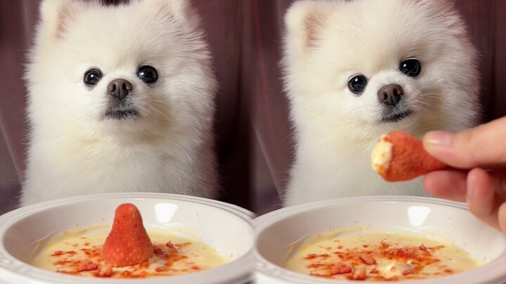 Ini adalah video mukbang tanpa makanan…