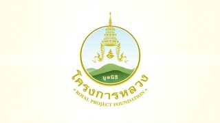 ร้าน Royal Project Tea House & Coffee 🍵 ชาโครงการหลวง