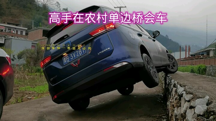 Veteran driver pulls off a masterful move to pass on the one-lane bridge.