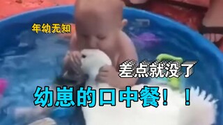 抓住什么就往嘴里塞也是没谁了🤦🤣