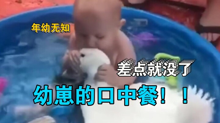 抓住什么就往嘴里塞也是没谁了🤦🤣