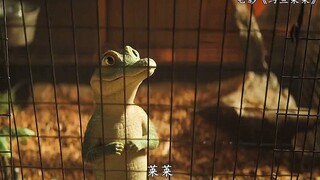 Although it's a cold-blooded animal, it has long been a part of the little boy's family.