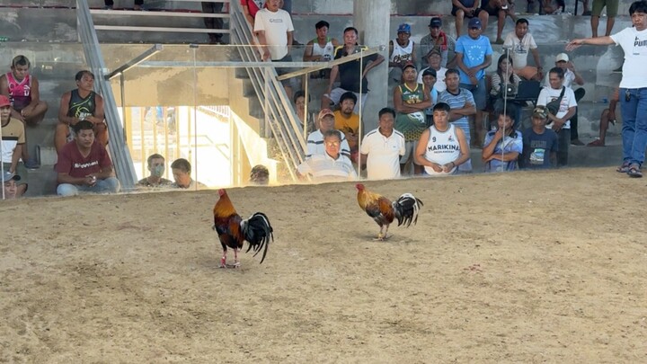 2 Hits Ulutan @ DOUBLE D COCKPIT - LW