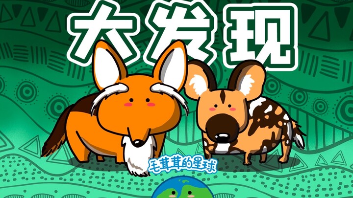 【หมาป่า】การค้นพบครั้งใหญ่ในจีนปี 2018