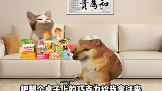 男生以为的同居生活VS实际上的同居生活