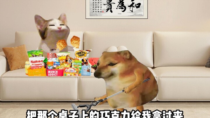 男生以为的同居生活VS实际上的同居生活