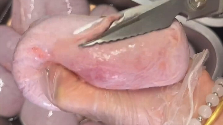 Pet Treats – Crispy Baked Pig Ears Are Back Again!