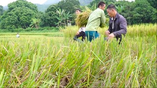 Về Quê Nội - Gà Nướng Mùa Gặt _ Đôi Đũa Tre