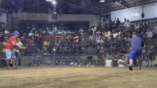 WIN 3hits pilar coliseum WWL 2/14/25