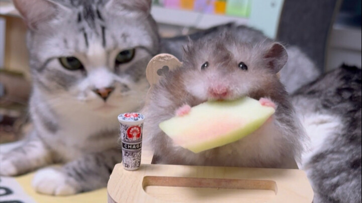 شكرًا لصاحب محل الفواكه الذي مكّن لاؤو شي من التمتع بحرية تناول قشور البطيخ!