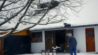 An old man rescued a white stork: For more than a decade, it flew over 10,000 kilometers every year.