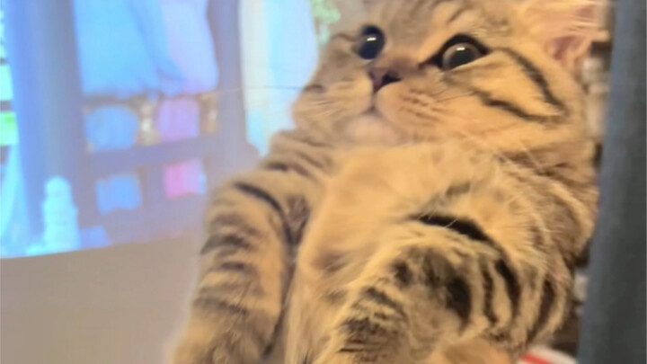 Wake up—soon it'll be time to sleep again!