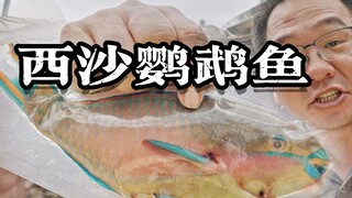 100集了！村长的眼神越来越清澈