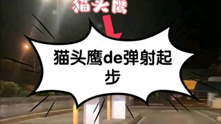 猫头鹰鸟生第一次享受弹射起步！