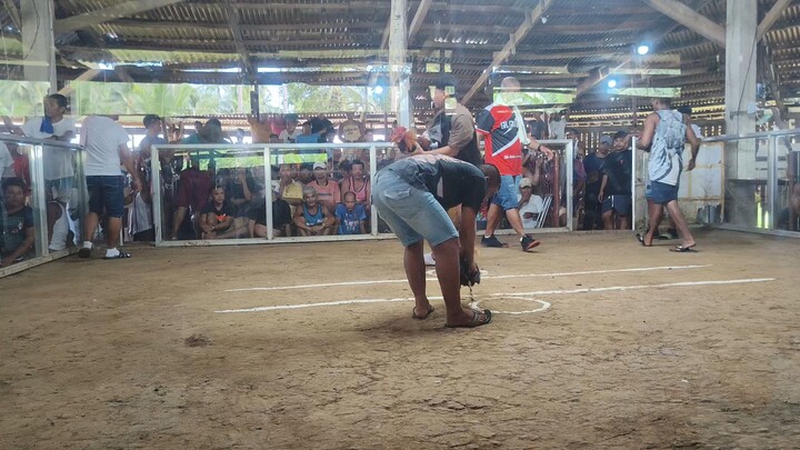 Talalora 2 Cock Derby 1st Fight