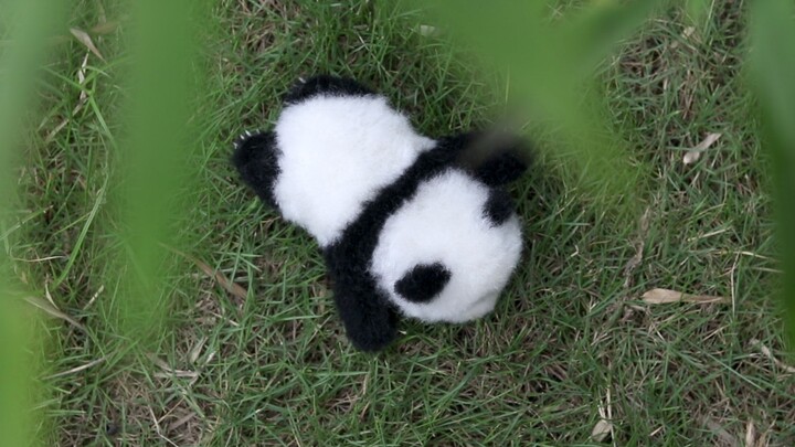 [DIY]Cara membuat panda dari wol|<Wonderful Day>
