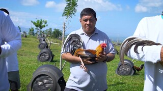 AMPIL BROTHERS GAMEFARM Gerard Ampil