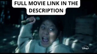 The Murky Stream 2025