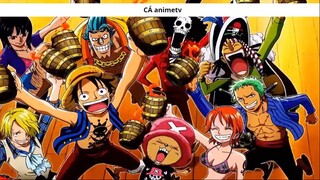 Những chi tiết _thánh_ Oda đã rãi nhằm cảnh báo về cái chết của Shanks ! 7