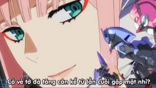 Náo loạn cái thị trấn này rồi leo lên đỉnh|Darling #anime