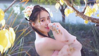 【折枝花满衣】美人如斯 浮生梦 春风十里桃夭【美欣】