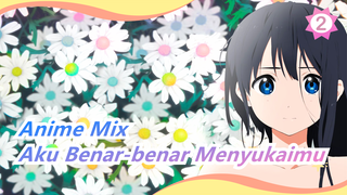 Anime Mix | Sepertimu, Aku Sangat Menyukaimu. Aku Mau Kau Lebih Dari Dunia~_2