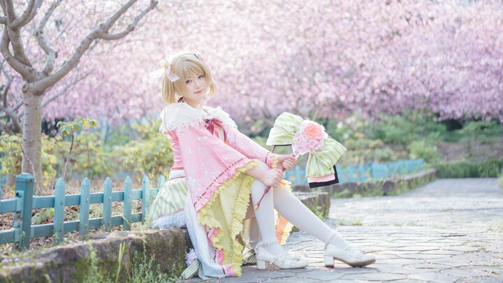 【Bắc Đảo】❀ Linh hồn hoa phù hợp nhất với mùa xuân đã thức tỉnh ❀ Từ Hoa Dương Thân – “Thần đích tùy 