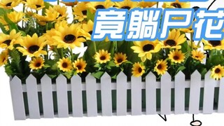 [Elsa] Is it ** or ** that the beautiful anchor is lying dead in the flower bed?