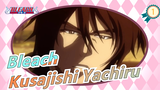 [Bleach] Kusajishi Yachiru's Friend, Only True Fans Know His Name!_1