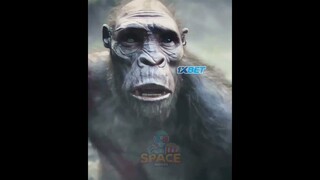 Você não é macaco!😂Filme: Godzilla-Kong 2 #edit #movie #viral #comedy #memes #status #shorts