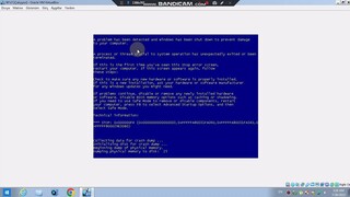 AHHHH Has BSOD VM