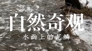 自然奇观：水面上的龙鳞