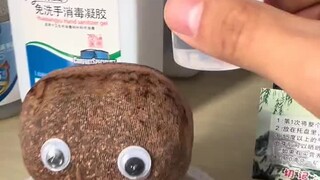 给菜头浇水一周后…