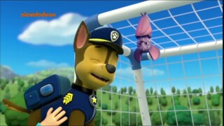 Paw Patrol