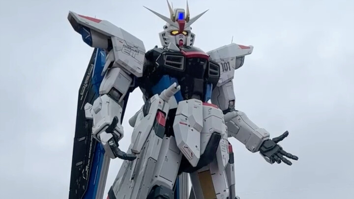 Freedom Gundam activated in the rain