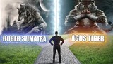Roger Sumatra VS Agus Tiger...