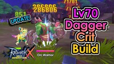 [ROX Global] Level 70 Dagger Crit Assassin Build Update! | King Spade