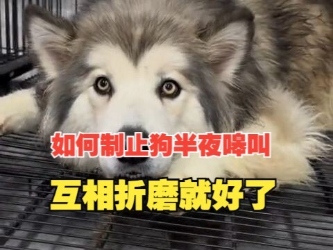 投桃报李，多有爱的一家啊
