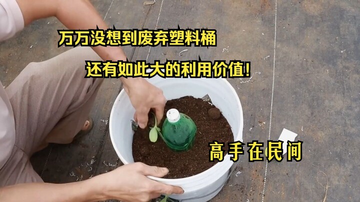 البراميل البلاستيكية المهملة يمكن أن تتمتع بهذه القيمة العالية للاستخدام، إنها حقًا خبيرة في عالم ال