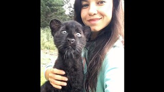 What is it like to raise a black panther from infancy to adulthood?