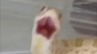 拱拱拱拱拱拱