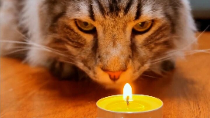 猫妈这种手工爱好者，非常擅长把很简单的东西变得非常复杂！