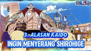 Alasan Kaido ingin bertemu Shirohige