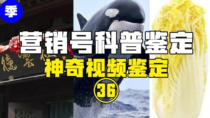 [Hot Fact Check] Is There Formaldehyde in Baby Bok Choy? Are Dolphins Even-Toed Ungulates Like Cows?