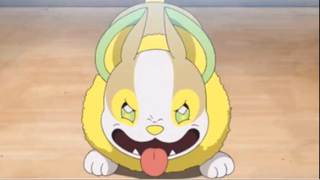 Yamper’s Cute Moments