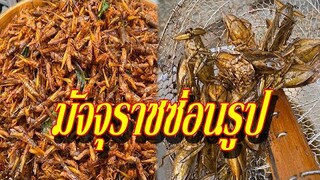 ภัยร้ายที่ผู้บริโภคจำเป็นต้องรู้เท่าทัน ส่วนใหญ่ไม่รู้ตัวว่าตกเป็นเหยื่อของมัจจุราชซ่อนรูปตนนี้