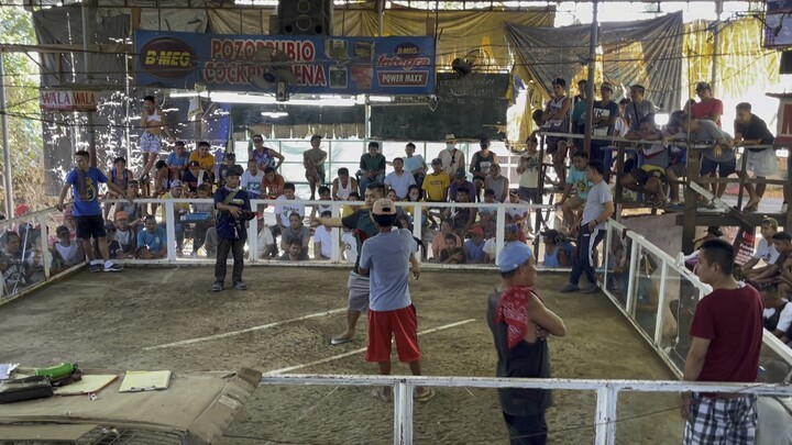 Regular Red (Loss) February 7,2024