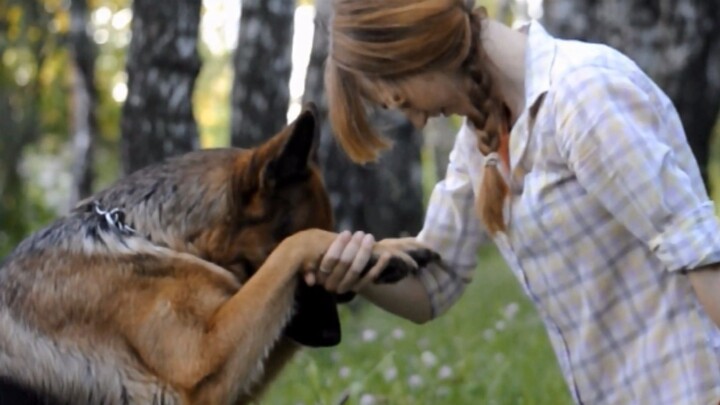 German Shepherd: Your Highness, I swear to protect you with my life!